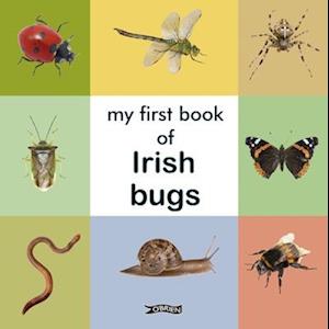 My First Book of Irish Bugs