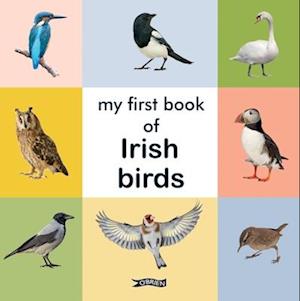 My First Book of Irish Birds