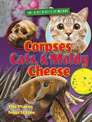 Corpses, Cats, and Moldy Cheese