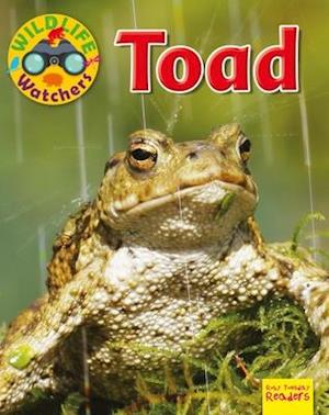 Toad