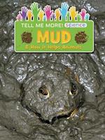 Mud