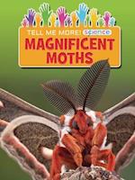 Magnificent Moths