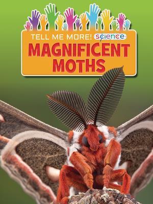 Magnificent Moths