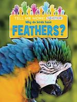 Why Do Birds Have Feathers?