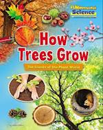 Fundamental Science Key Stage 1 How Trees Grow