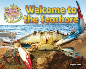 Welcome to the Seashore