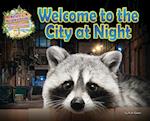 Welcome to the City at Night