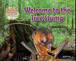 Welcome to the Tree Stump