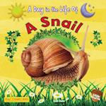A Snail