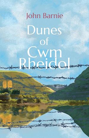 Dunes of Cwm Rheidol