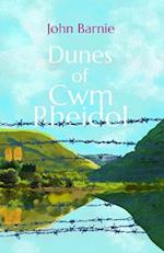 Dunes of Cwm Rheidol