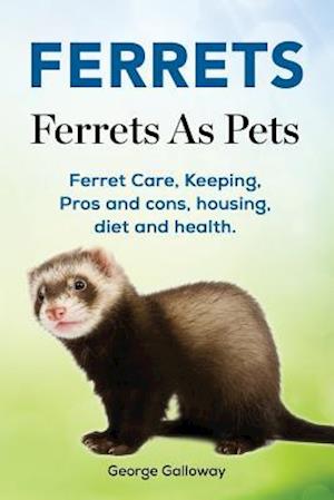 Ferrets. Ferrets As Pets. Ferret Care, Keeping, Pros and cons, housing, diet and health.