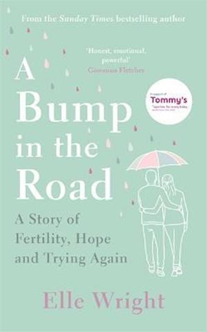 A Bump in the Road