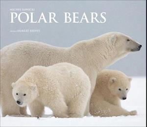 Polar Bears