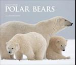 Polar Bears