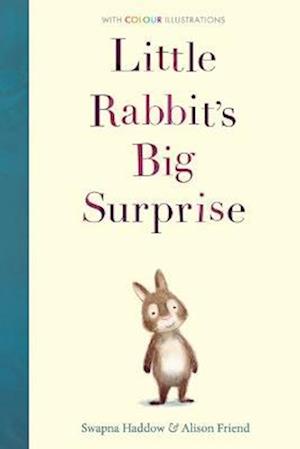 Little Rabbit's Big Surprise