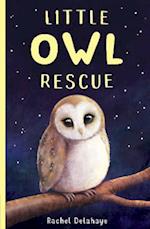 Little Owl Rescue