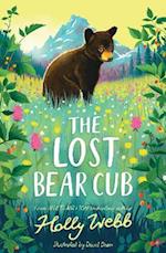 The Lost Bear Cub