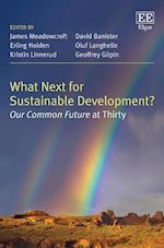 What Next for Sustainable Development?