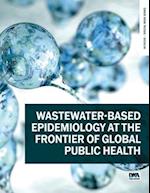 Wastewater-Based Epidemiology at the Frontier of Global Public Health