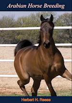 Arabian Horse Breeding