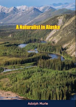 Naturalist in Alaska