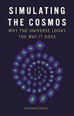 Simulating the Cosmos