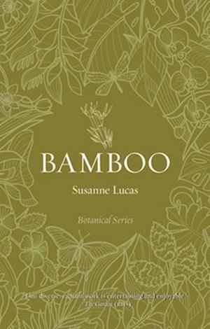 Bamboo