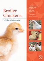 Broiler Chickens Welfare in Practice