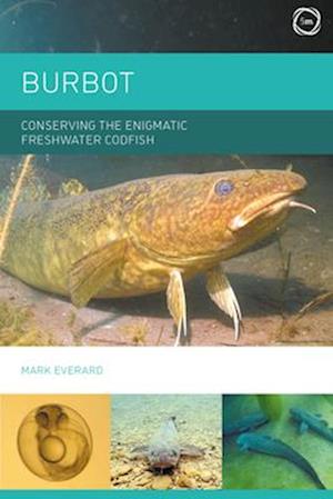 Burbot