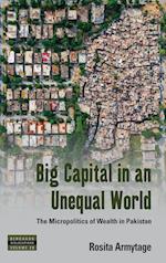 Big Capital in an Unequal World