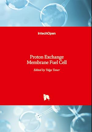 Proton Exchange Membrane Fuel Cell