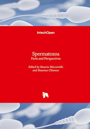 Spermatozoa