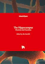 The Hippocampus