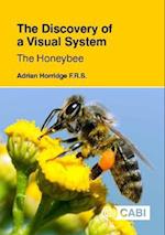 Discovery of a Visual System - The Honeybee, The