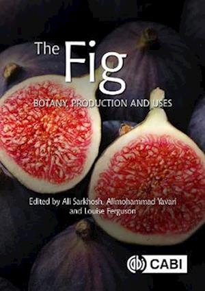 The Fig : Botany, Production and Uses