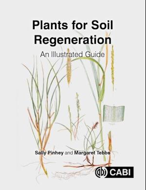 Plants for Soil Regeneration : An Illustrated Guide