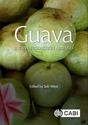 Guava : Botany, Production and Uses