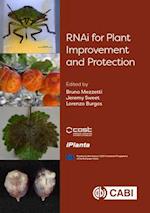 RNAi for Plant Improvement and Protection