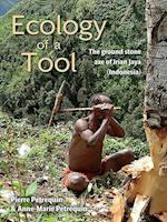 Ecology of a Tool