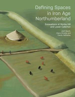 Defining Spaces in Iron Age Northumberland