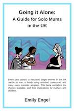 Going it Alone: A Guide for Solo Mums in the UK 