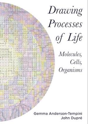 Drawing Processes of Life : Molecules, Cells, Organisms