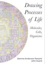 Drawing Processes of Life : Molecules, Cells, Organisms 