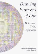 Drawing Processes of Life
