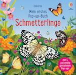 Mein erstes Pop-up-Buch: Schmetterlinge