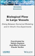 Biological Flow in Large Vessels