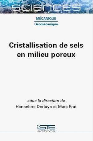 Cristallisation de sels en milieu poreux