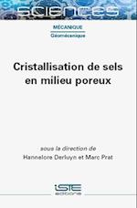 Cristallisation de sels en milieu poreux