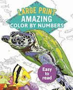 Amazing Color-By-Numbers Large Print